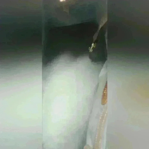 Brahmin Croc Skin Purse - Picture 12 of 16